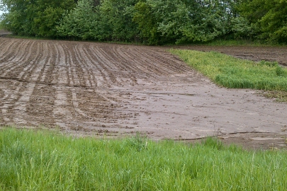 A farm field showing soil erosion caused by water run off.