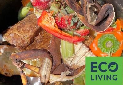 Potato skins, banana peels, bell pepper stem, strawberries and other food scraps. Eco Living logo in the corner.